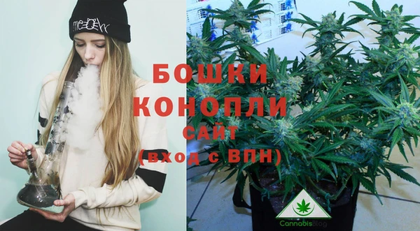 прущие грибы Баксан