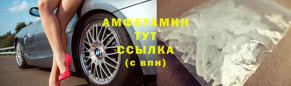 прущие грибы Баксан