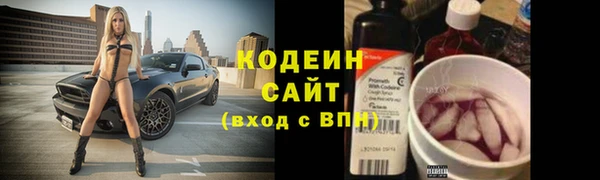 метадон Няндома