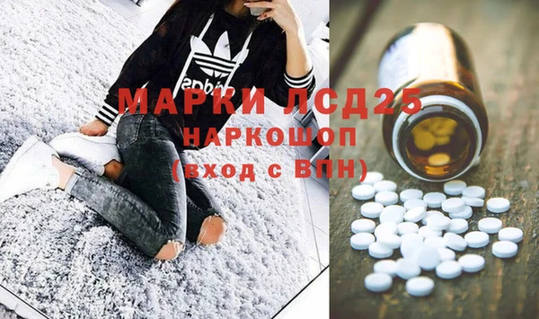 прущие грибы Баксан