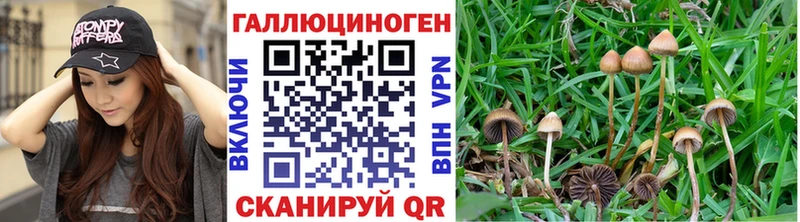 Псилоцибиновые грибы ЛСД  где продают наркотики  Котлас 